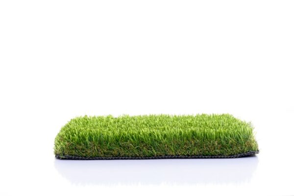 Muestras Gratis - Imagen 2