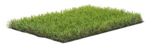 Césped artificial Jungla 30mm <span>desde 7.99€m2 iva incl.</span>